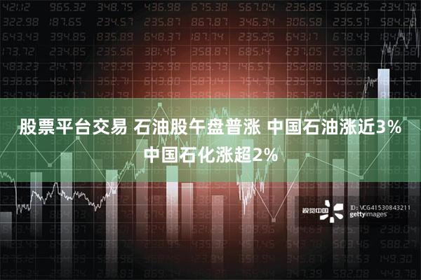 股票平台交易 石油股午盘普涨 中国石油涨近3%中国石化涨超2%