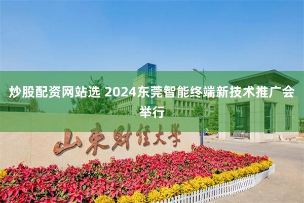 炒股配资网站选 2024东莞智能终端新技术推广会举行