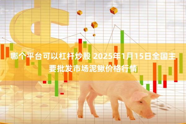 哪个平台可以杠杆炒股 2025年1月15日全国主要批发市场泥鳅价格行情